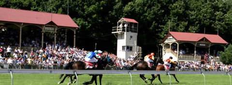 Tumut Derby Day - Australia Accommodation 1