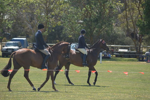 Yankalilla Show - Australia Accommodation 2