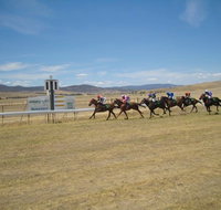 Adaminaby Cup Race Day - Australia Accommodation