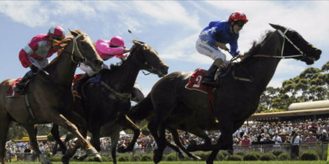 Batemans Bay Cup - Australia Accommodation 0