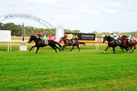 Batemans Bay Cup - Australia Accommodation 2