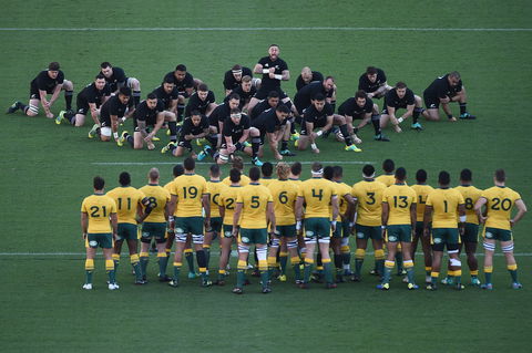 Bledisloe Cup: Qantas Wallabies Versus All Blacks - Australia Accommodation 0