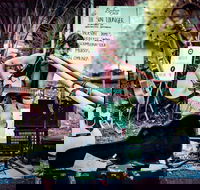 Buskers by the Lake - Australia Accommodation