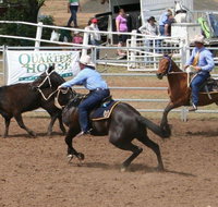 Dalgety Team Penning - Australia Accommodation
