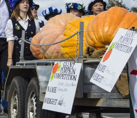 Goomeri Pumpkin Festival - Australia Accommodation 2