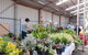 Good Shepherd May Market - thumb 2