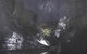 Halinka Orszlok Black Bob's Creek - thumb 0