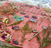 Introduction to Paper Making - Australia Accommodation