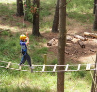 July 2020 Holidays- Go Wild at the Mt Lofty Adventure Hub - Australia Accommodation