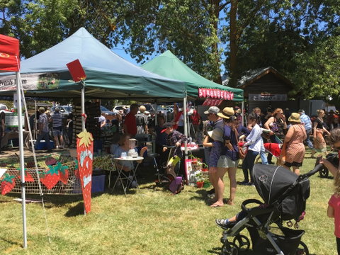 Macclesfield Strawberry Fete - Australia Accommodation 1