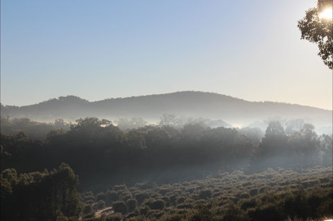 Mudgeeque - Australia Accommodation 0