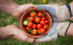 Riverina Producers Market - thumb 0
