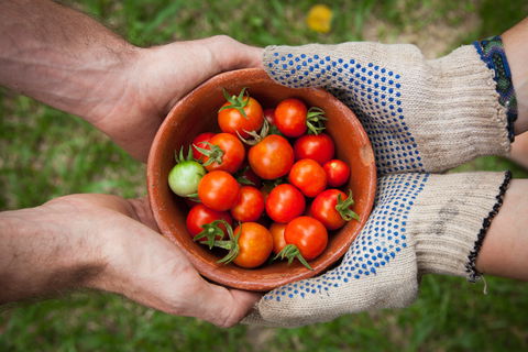 Riverina Producers Market - Australia Accommodation 0