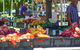 Riverina Producers Market - thumb 1