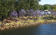 Shoalhaven River Festival - thumb 0