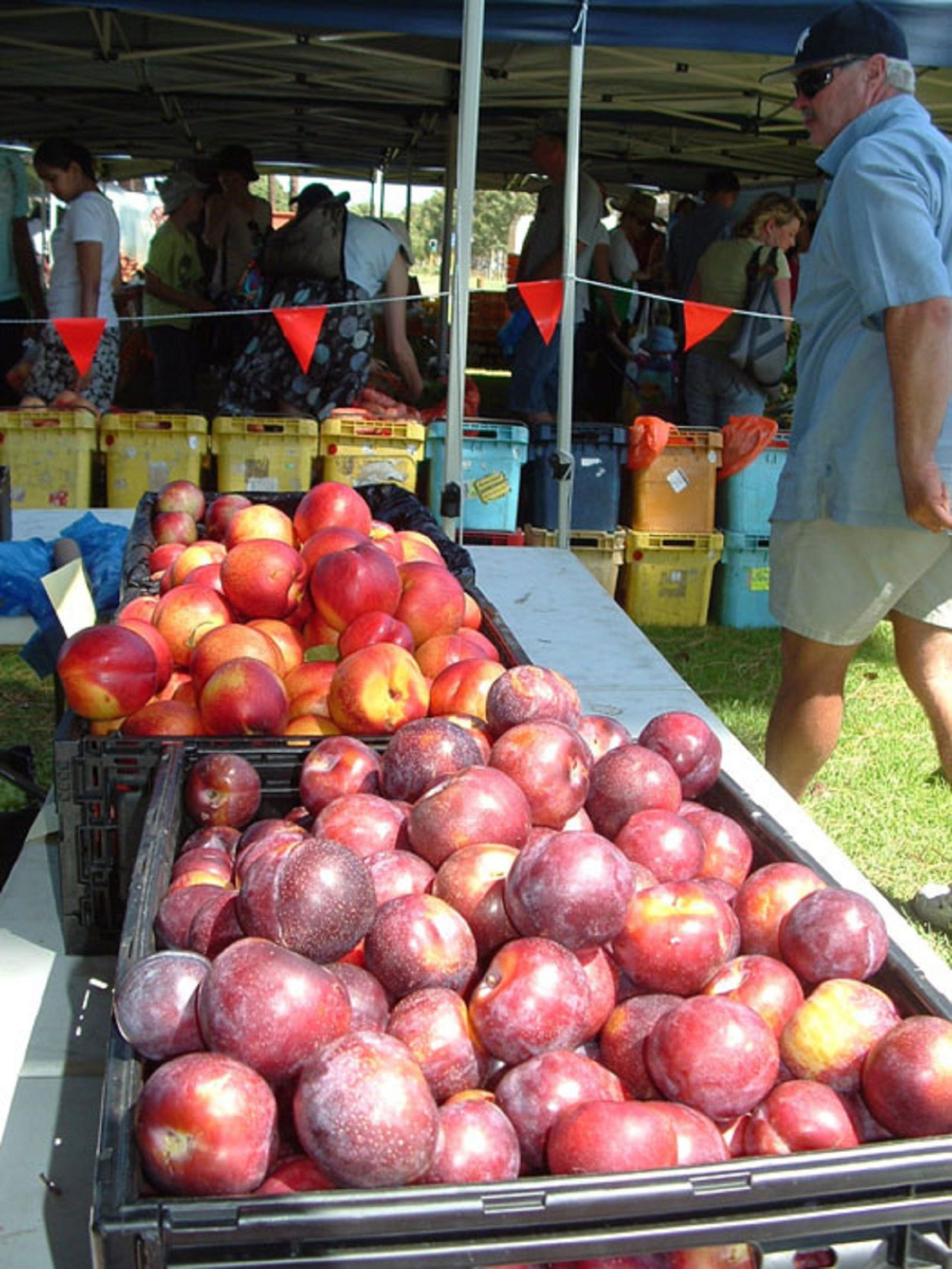 Karawara WA Australia Accommodation