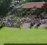 Tumut Boxing Day Races - Australia Accommodation