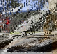 Wollombi Wild Ride Mountain Bike Ride - Australia Accommodation