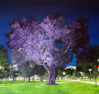 Adelaide Parklands Art Prize  Finalists Exhibition  Sale 2020 - Australia Accommodation