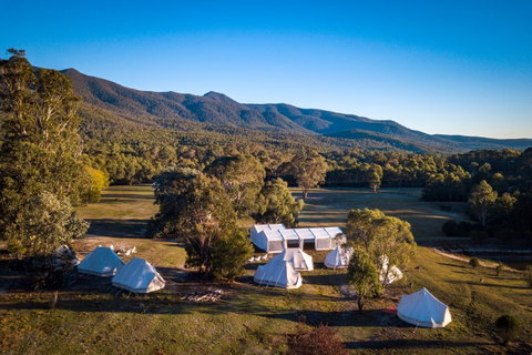 A Wild Night Out - Spring - Australia Accommodation 5