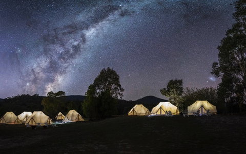 A Wild Night Out - Spring - Australia Accommodation 6