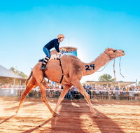 Boulia Camel Races - Australia Accommodation