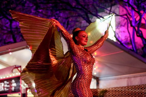 Brisbane Festival - Australia Accommodation 0
