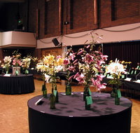 Burnie Lilium Show - Australia Accommodation