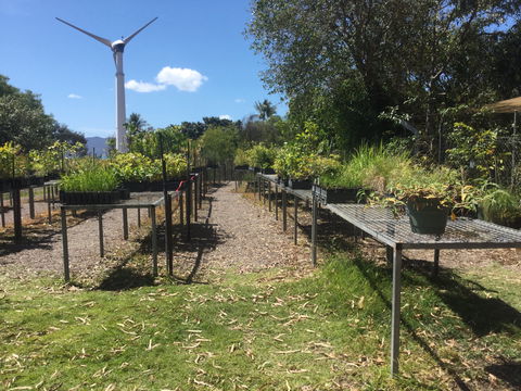 Conservation Volunteers Australia Townsville - Ocean View Nursery - Australia Accommodation 0