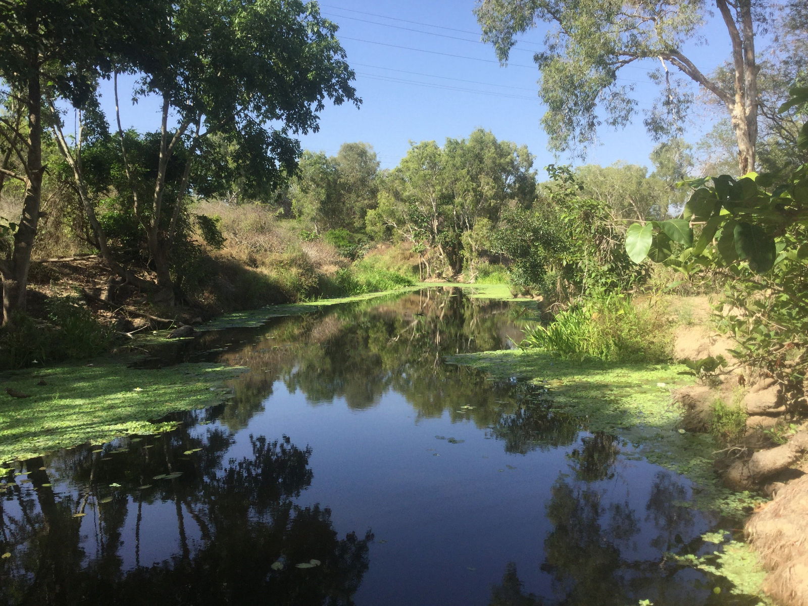 Belgian Gardens QLD Australia Accommodation