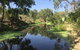 Conservation Volunteers Australia Townsville - Creekwatch - thumb 0