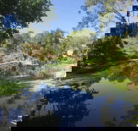 Conservation Volunteers Australia Townsville - Creekwatch - Australia Accommodation