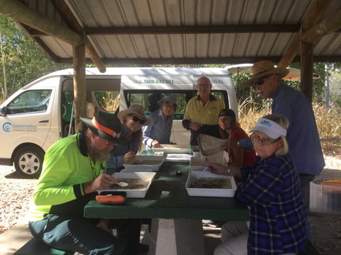 Conservation Volunteers Australia Townsville - Creekwatch - Australia Accommodation 1