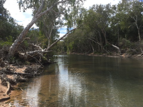 Conservation Volunteers Australia Townsville - Creekwatch - Australia Accommodation 2