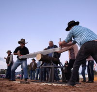 Cunnamulla Fella Festival 2020 - Australia Accommodation