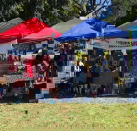 Dogs in the Park Shell Harbour - Australia Accommodation