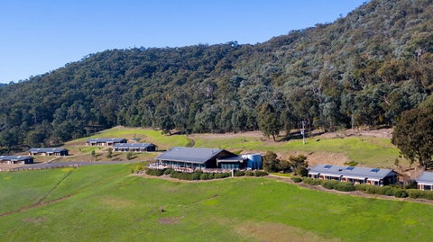 Father's Day Lunch At Holmesglen At Eildon - Australia Accommodation 2