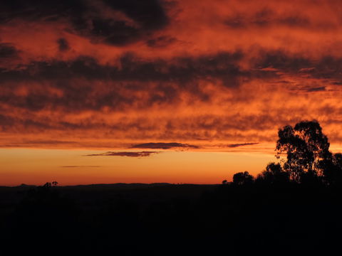 Father's Day At Cottontail Wines - Australia Accommodation 0
