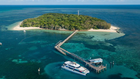 Great Adventures Green Island Ocean Swim - Australia Accommodation 0