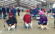 Hamilton Jack Russell Terrier And Hunting Dog Show - thumb 0