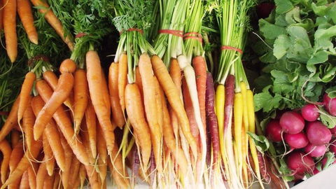 Joondalup Growers Market - Australia Accommodation 0
