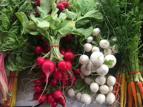 Joondalup Growers Market - Australia Accommodation 1