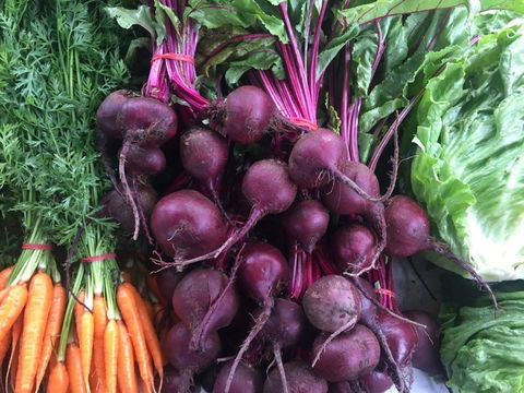 Joondalup Growers Market - Australia Accommodation 2
