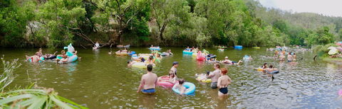 Jungle Love Festival - Australia Accommodation 1