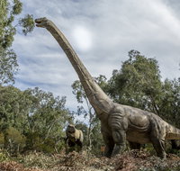 Lost Sanctuary at Healesville Sanctuary - Australia Accommodation