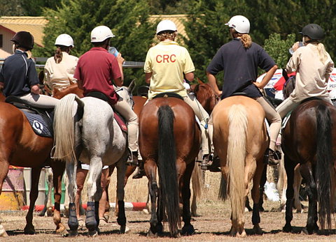 Michelago Pony Club Gymkhana And Sporting Spectacular - Australia Accommodation 0