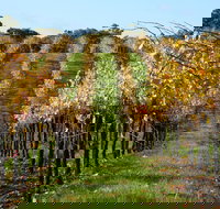 Miners Ridge Wine Tasting - Australia Accommodation