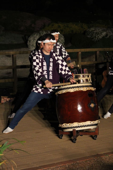 Sakura Matsuri  - Cherry Blossom Festival - In Doubt Due To Covid-19 - Australia Accommodation 1