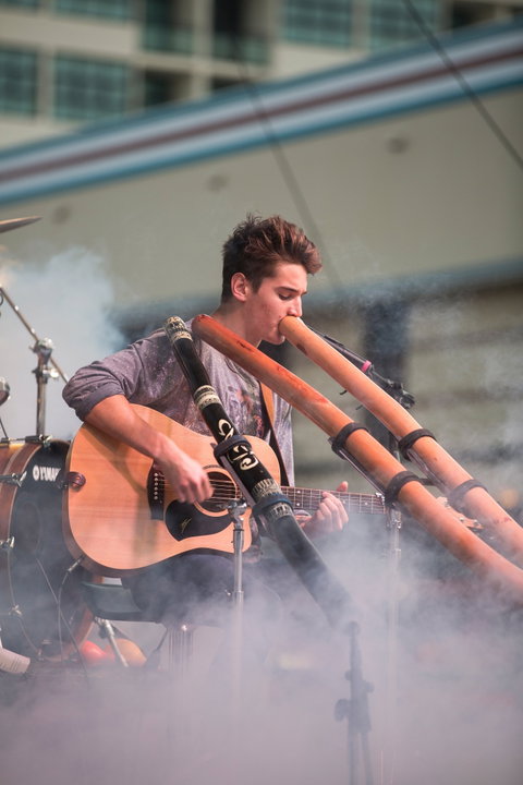 Sarina Beach Coconut Festival - Australia Accommodation 1