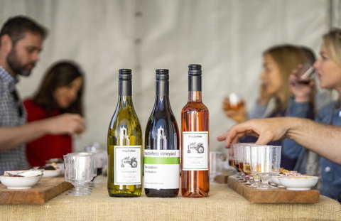 Southern Highlands Food And Wine Festival - Australia Accommodation 2